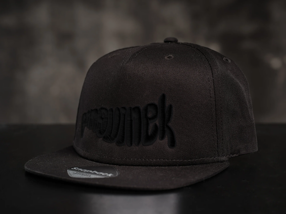 #PINGVINEK snapback